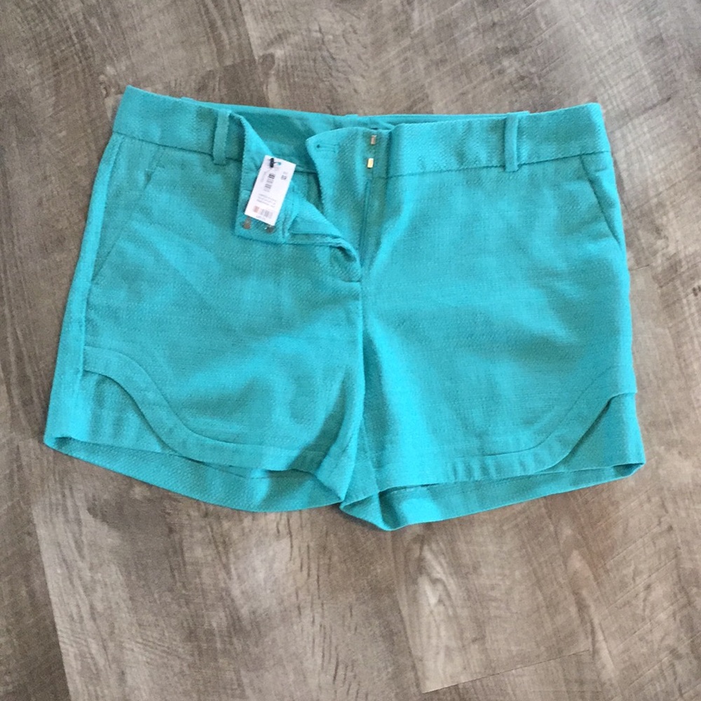 NWT Tiffany Blue Shorts